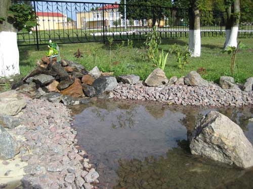 Изображения.