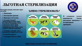 Гармонизация отношений безнадзорных животных и общества.